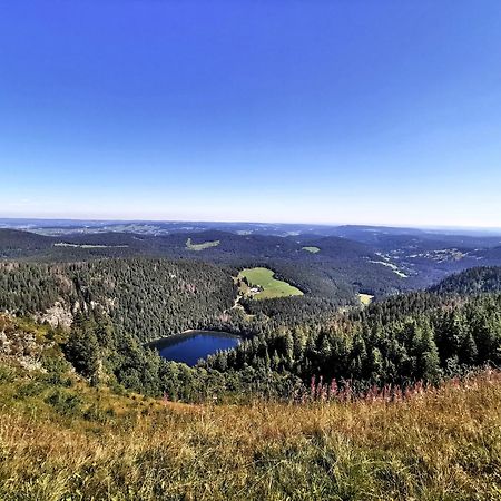 Residenz Grafenmatt "Abendsonne" Leilighet Feldberg  Eksteriør bilde