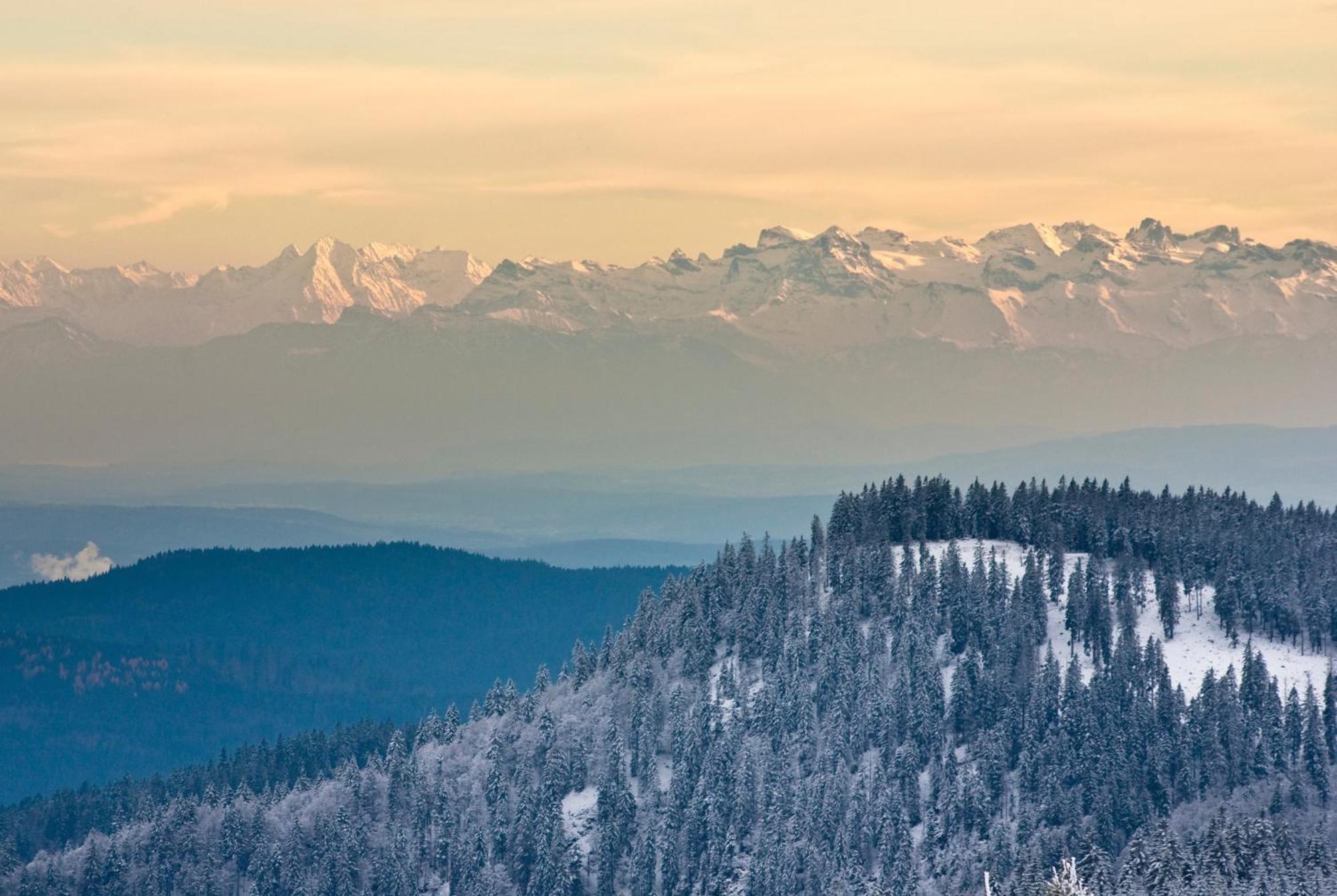 Residenz Grafenmatt "Abendsonne" Leilighet Feldberg  Eksteriør bilde