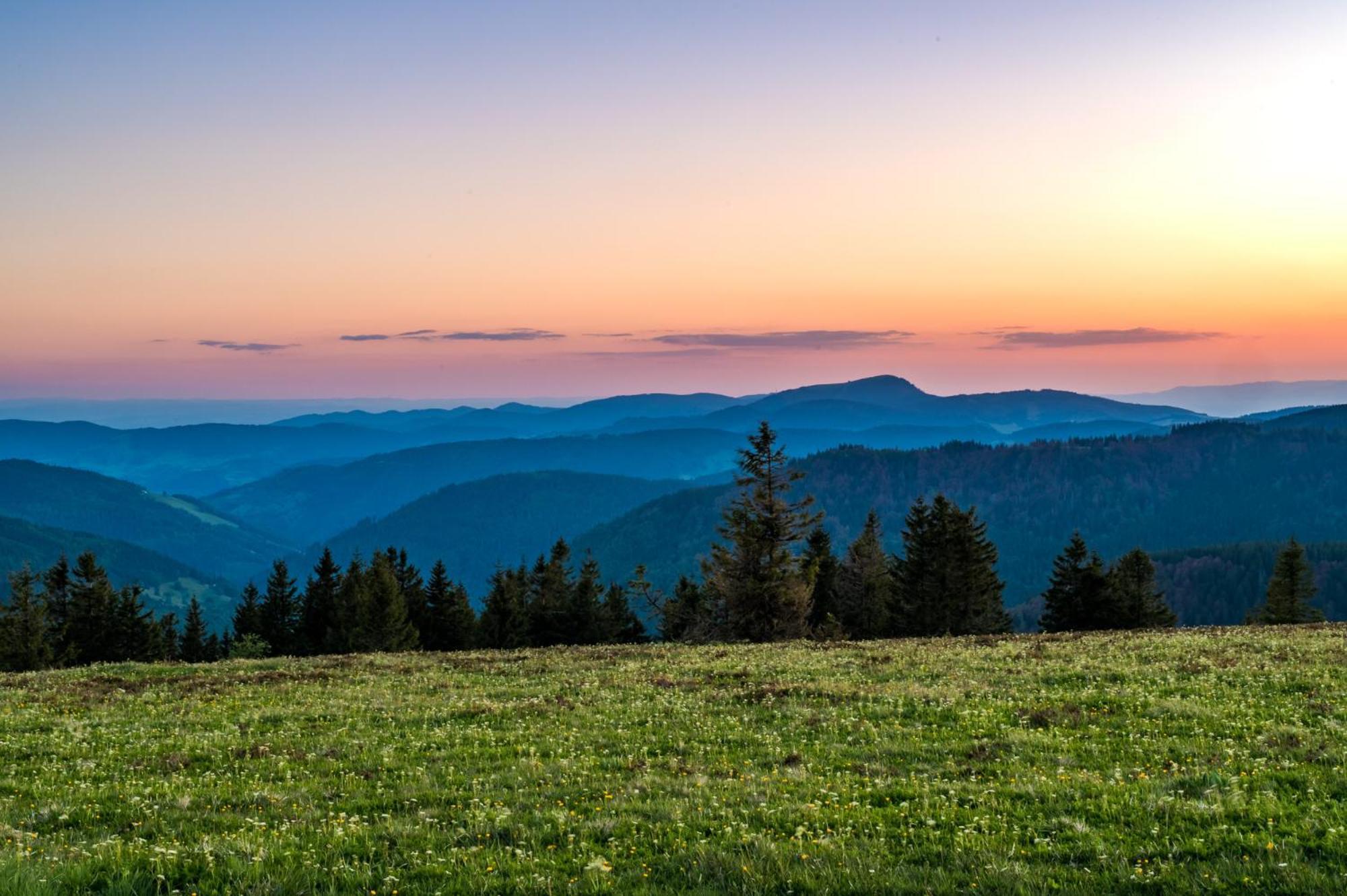Residenz Grafenmatt "Abendsonne", Feldberg Leilighet Rinken Eksteriør bilde